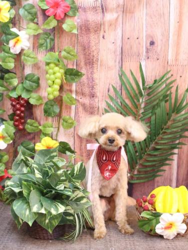 20230827ムックくん